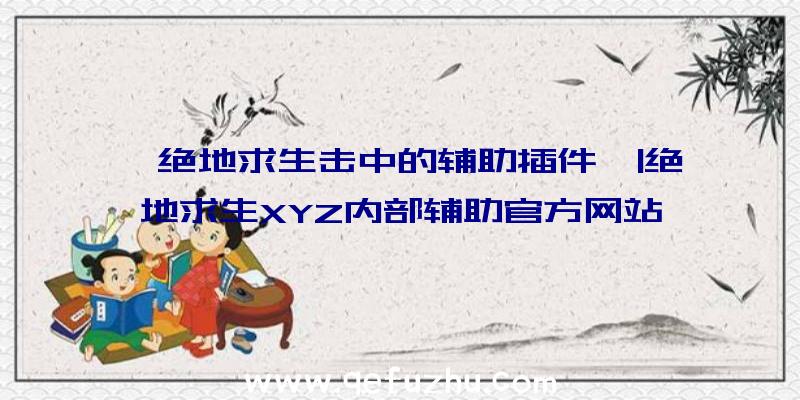 「绝地求生击中的辅助插件」|绝地求生XYZ内部辅助官方网站